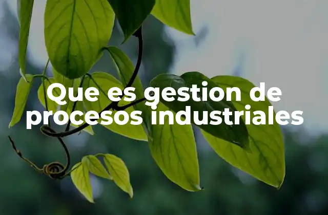 Que es Gestion de Procesos Industriales