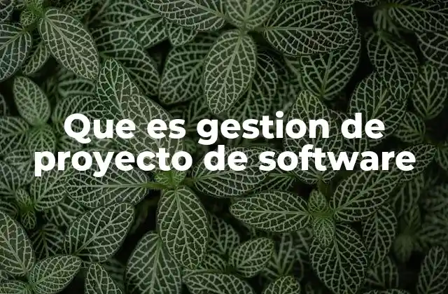 Que es Gestion de Proyecto de Software
