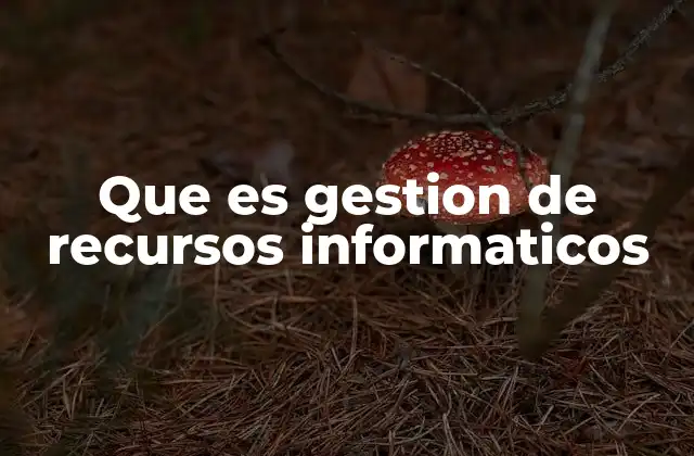 Que es Gestion de Recursos Informaticos
