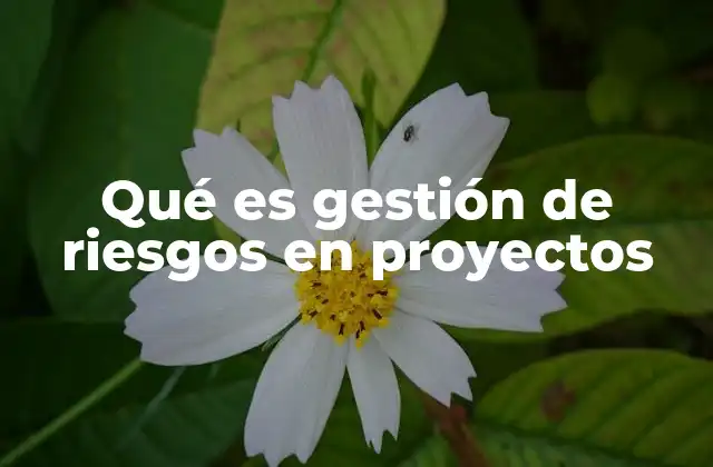 Qué es Gestión de Riesgos en Proyectos