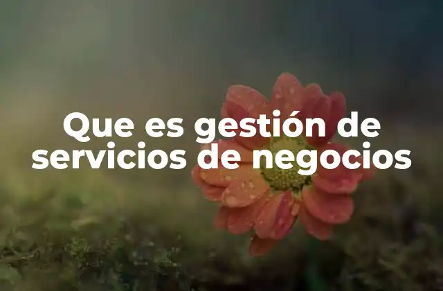Que es Gestión de Servicios de Negocios