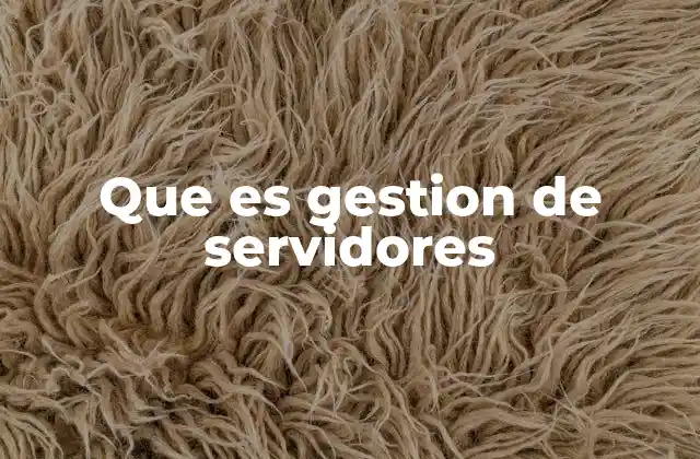 Que es Gestion de Servidores