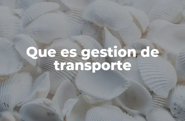 Que es Gestion de Transporte