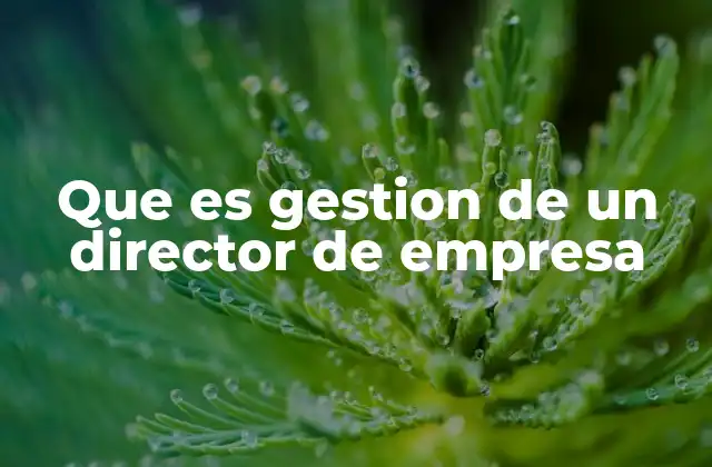 Que es Gestion de un Director de Empresa