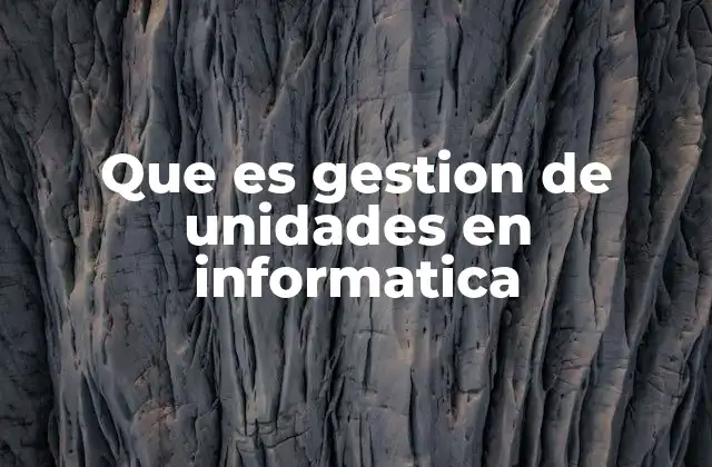 Que es Gestion de Unidades en Informatica