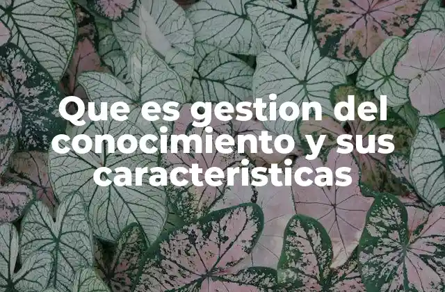 Que es Gestion Del Conocimiento y Sus Caracteristicas 2 Cómo la gestión del conocimiento impacta a las organizaciones