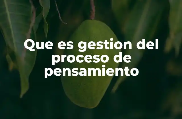 Que es Gestion Del Proceso de Pensamiento
