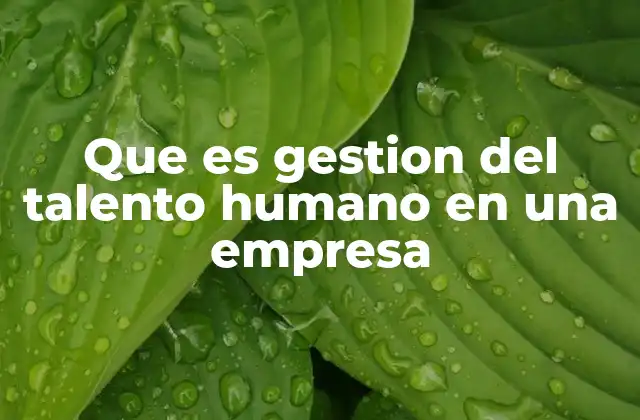 Que es Gestion Del Talento Humano en una Empresa