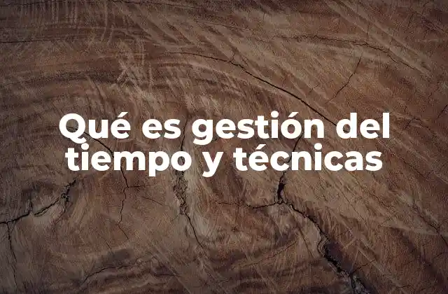 Qué es Gestión Del Tiempo y Técnicas