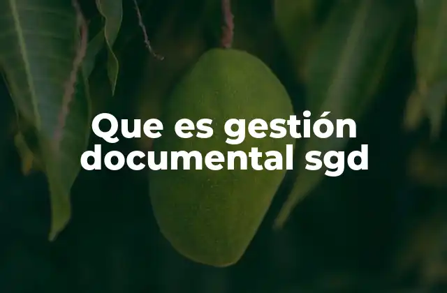 La importancia de la gestión documental en el entorno digital