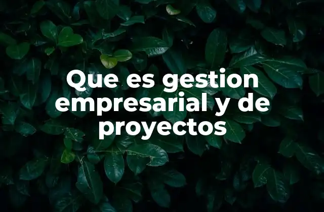 La importancia de tener una visión clara en la dirección de proyectos