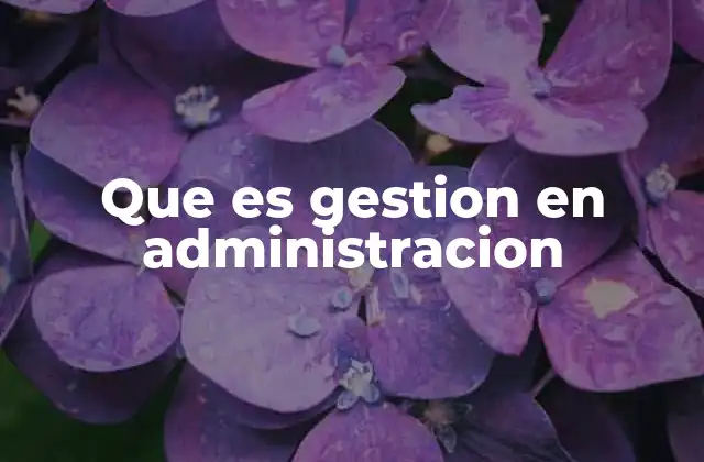Que es Gestion en Administracion