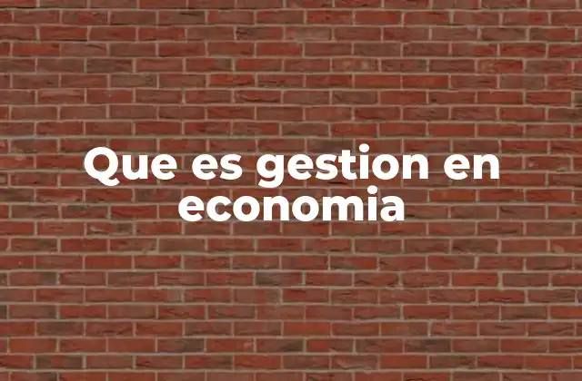 Que es Gestion en Economia