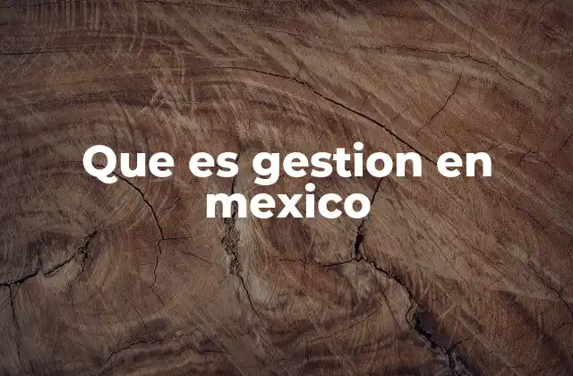 Que es Gestion en Mexico