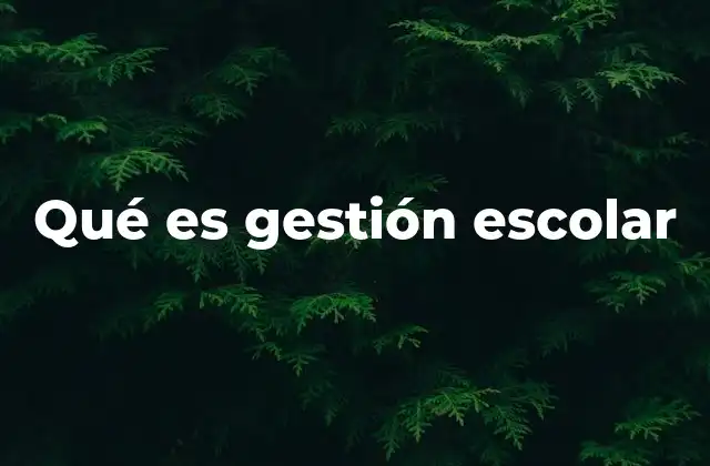 Qué es Gestión Escolar