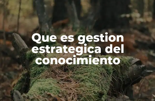 El rol del conocimiento en el desarrollo organizacional