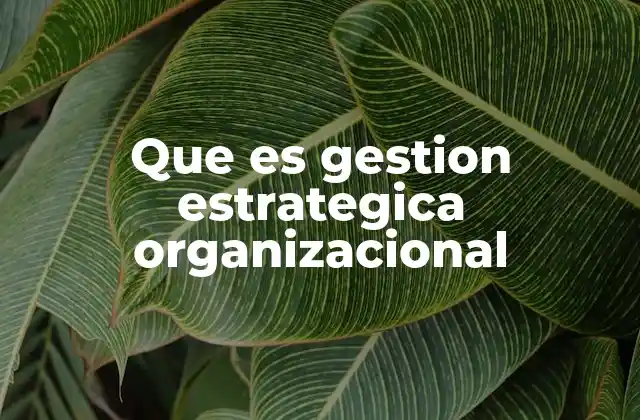 Que es Gestion Estrategica Organizacional