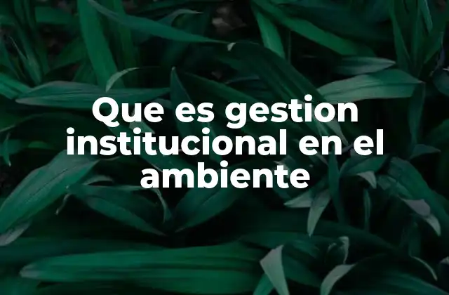 Que es Gestion Institucional en el Ambiente