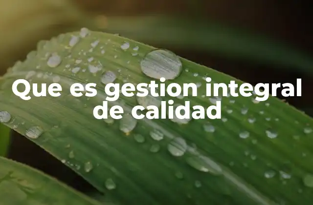 Que es Gestion Integral de Calidad
