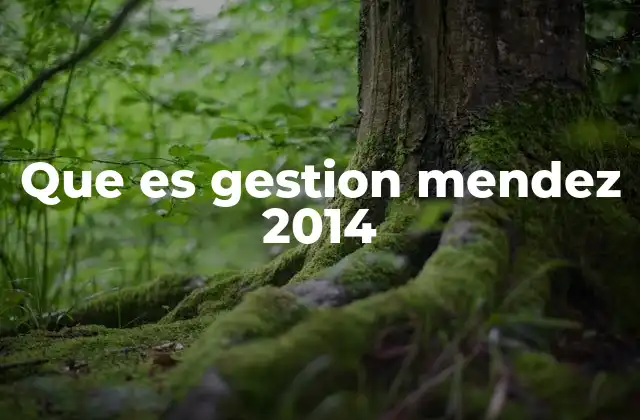 Que es Gestion Mendez 2014