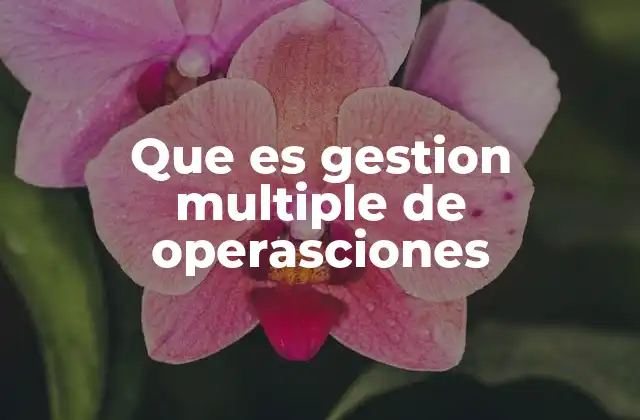 Que es Gestion Multiple de Operasciones