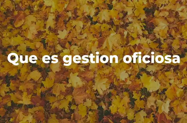 Que es Gestion Oficiosa