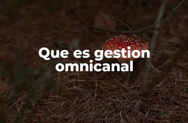 Que es Gestion Omnicanal 2 La evolución del enfoque de atención al cliente
