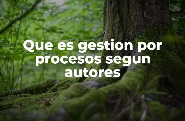 Que es Gestion por Procesos Segun Autores