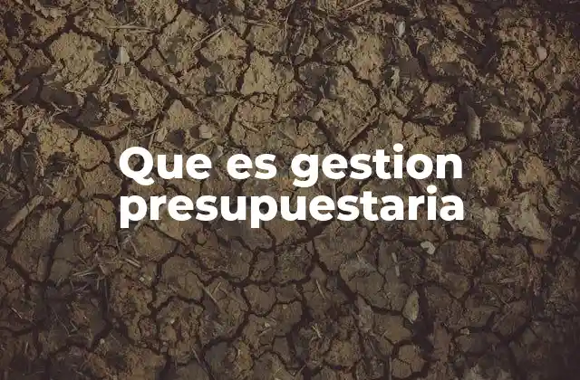 Que es Gestion Presupuestaria