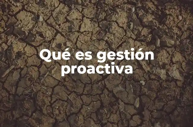 Qué es Gestión Proactiva