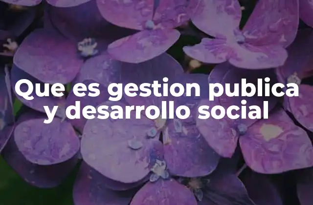 Que es Gestion Publica y Desarrollo Social