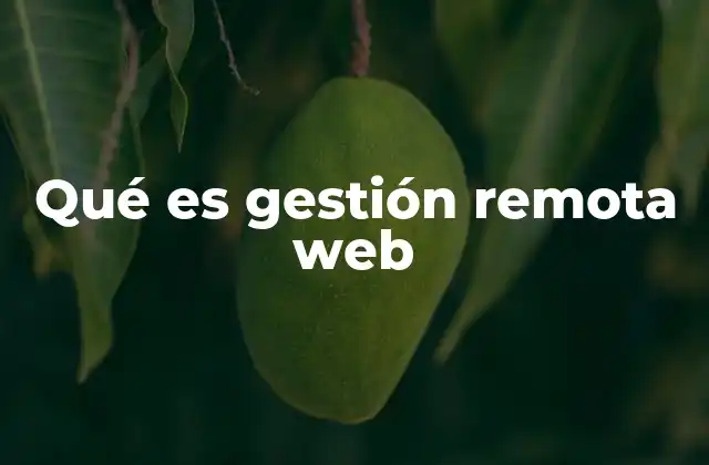 Qué es Gestión Remota Web