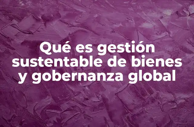 Qué es Gestión Sustentable de Bienes y Gobernanza Global