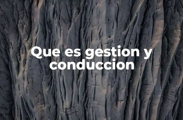 Que es Gestion y Conduccion