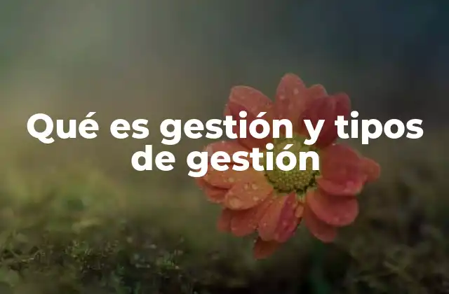 Qué es Gestión y Tipos de Gestión