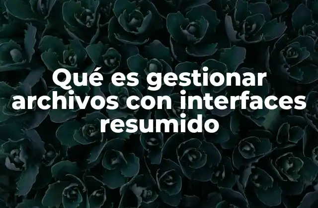 Qué es Gestionar Archivos con Interfaces Resumido