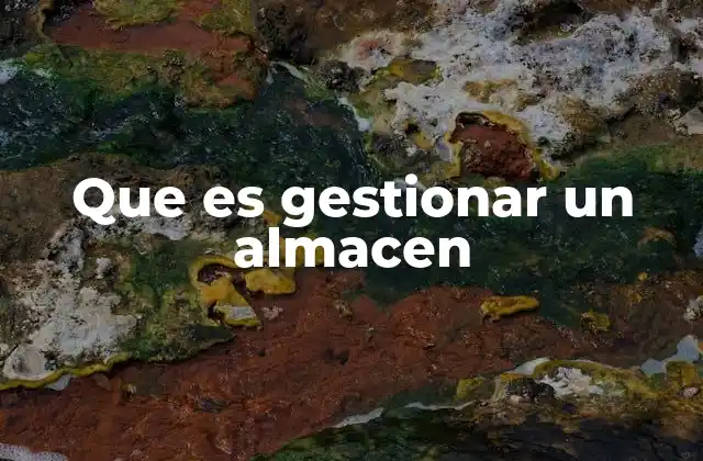 Que es Gestionar un Almacen