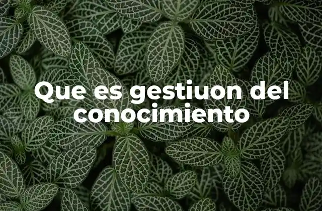 Que es Gestiuon Del Conocimiento