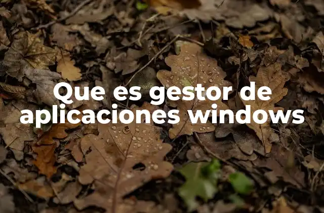 Que es Gestor de Aplicaciones Windows