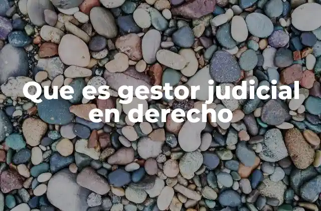 Que es Gestor Judicial en Derecho