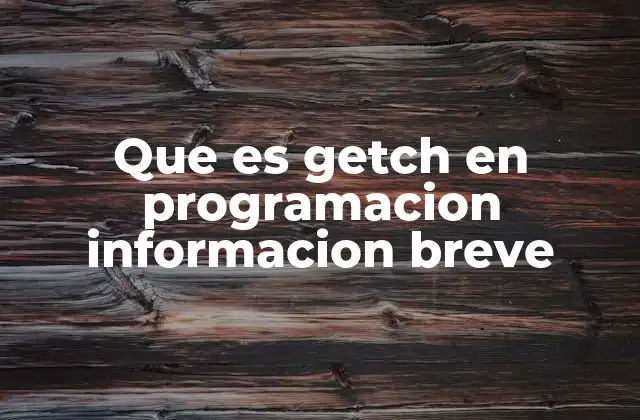 Que es Getch en Programacion Informacion Breve 2 La función getch en el contexto de la programación de consola