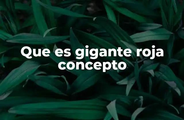 Que es Gigante Roja Concepto