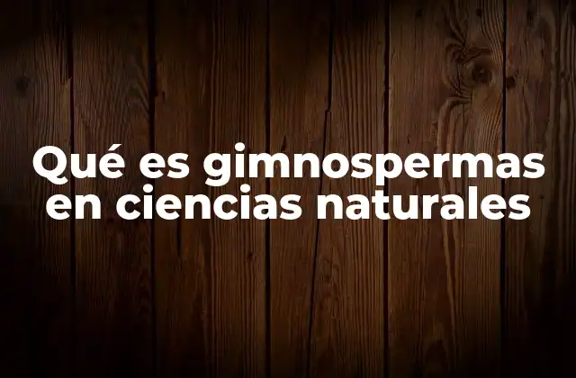 Qué es Gimnospermas en Ciencias Naturales