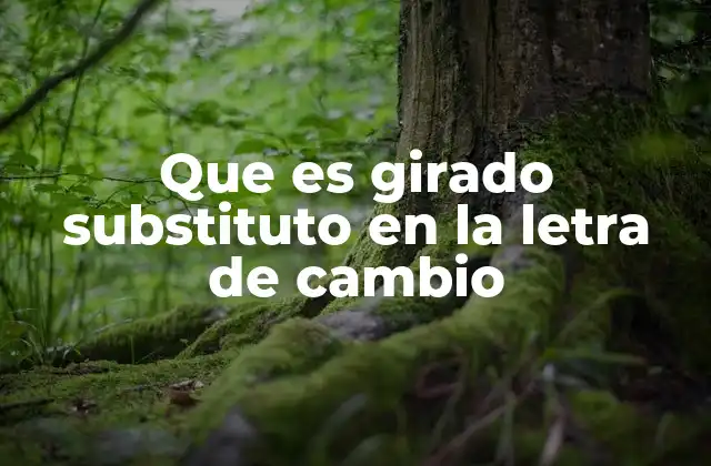 Que es Girado Substituto en la Letra de Cambio