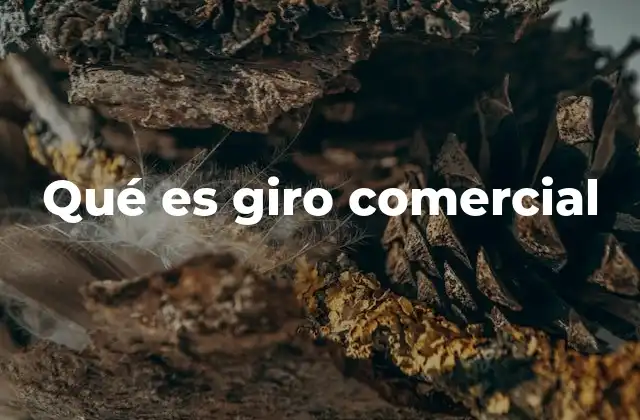 Qué es Giro Comercial
