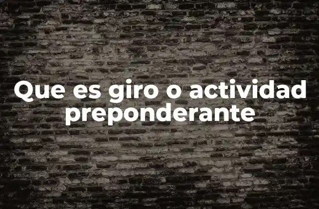 Que es Giro o Actividad Preponderante