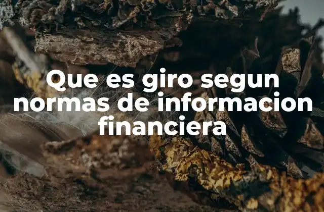 Que es Giro Segun Normas de Informacion Financiera
