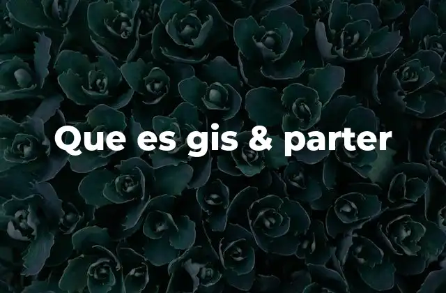 Que es Gis & Parter