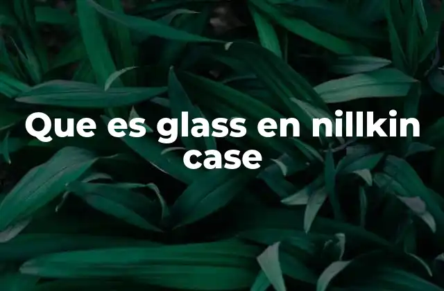 Que es Glass en Nillkin Case