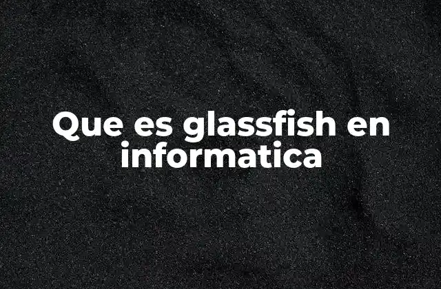Que es Glassfish en Informatica